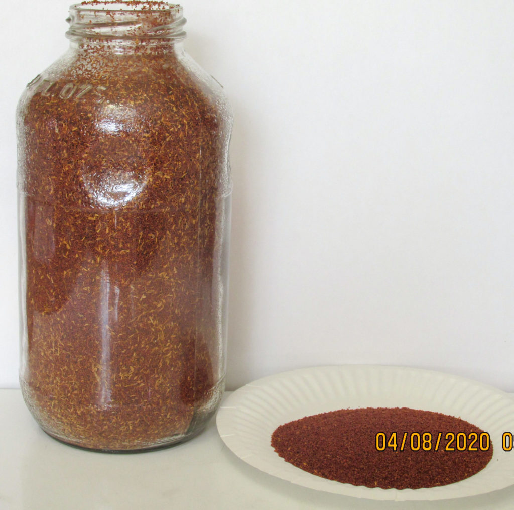 Jar of tansy mustard seeds collected by archaeologists during a timed harvest experiment.
