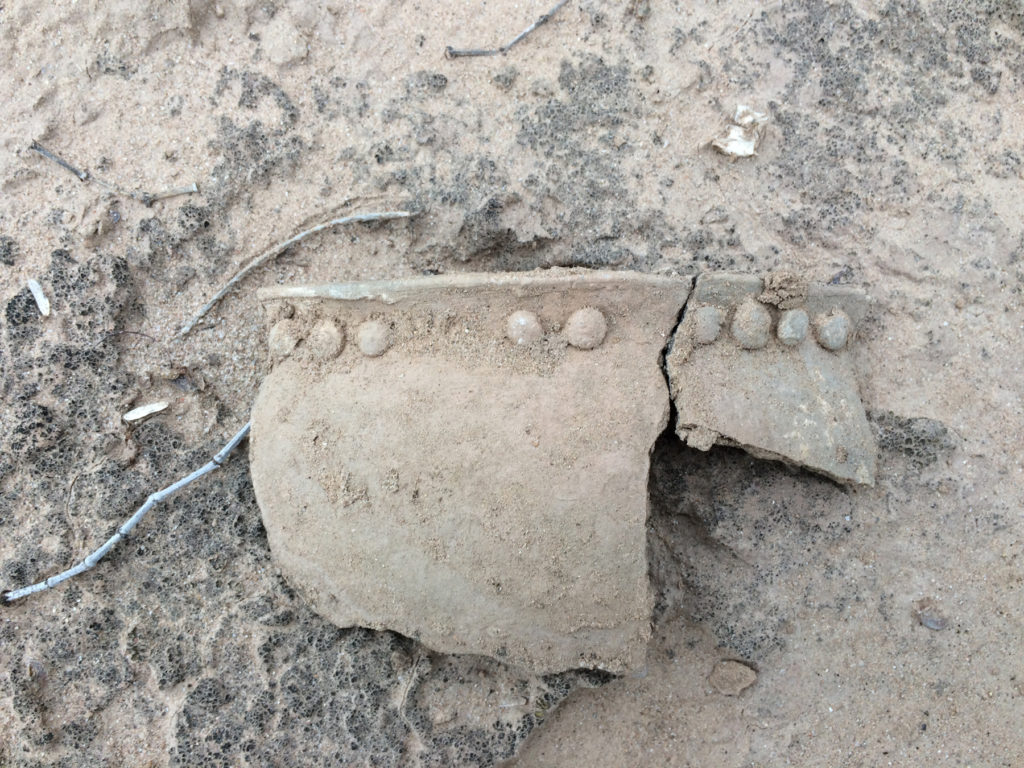 Colorado Buffware fragment