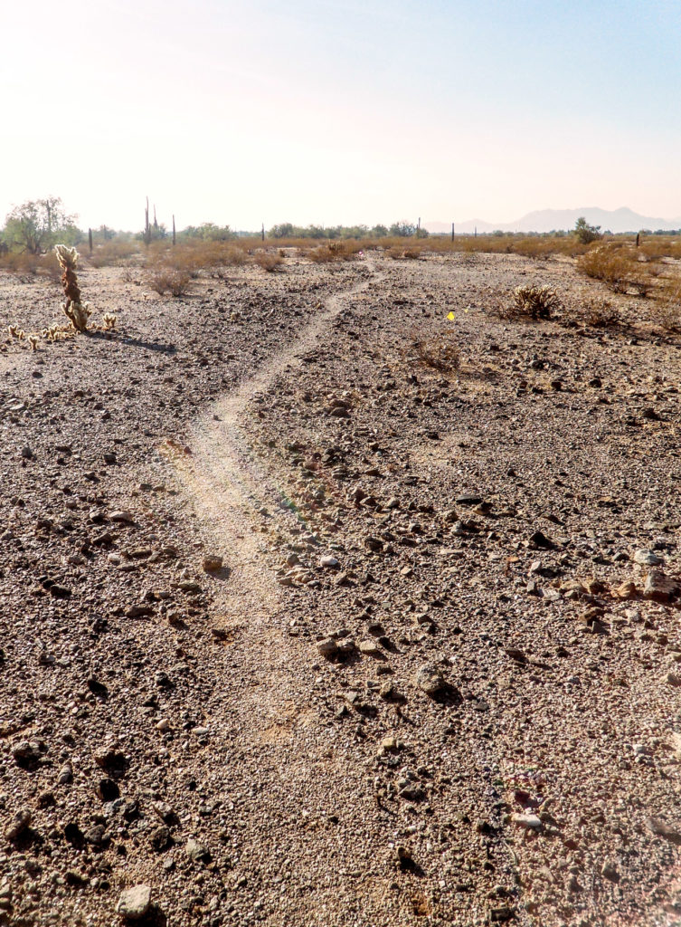 An Indigenous trail in the desert pavement near Gila Bend.