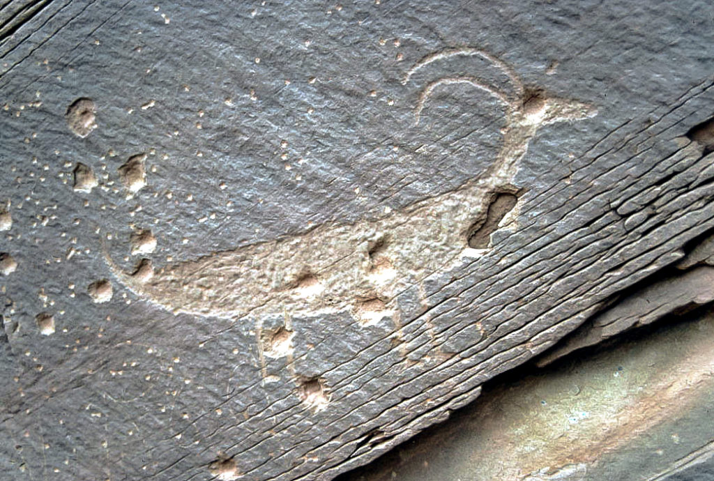 An example of a petroglyph damaged by rifle fire. This particular example is in the middle Little Colorado River Valley but this type of damage is seen throughout the Southwest. Image: John Welch