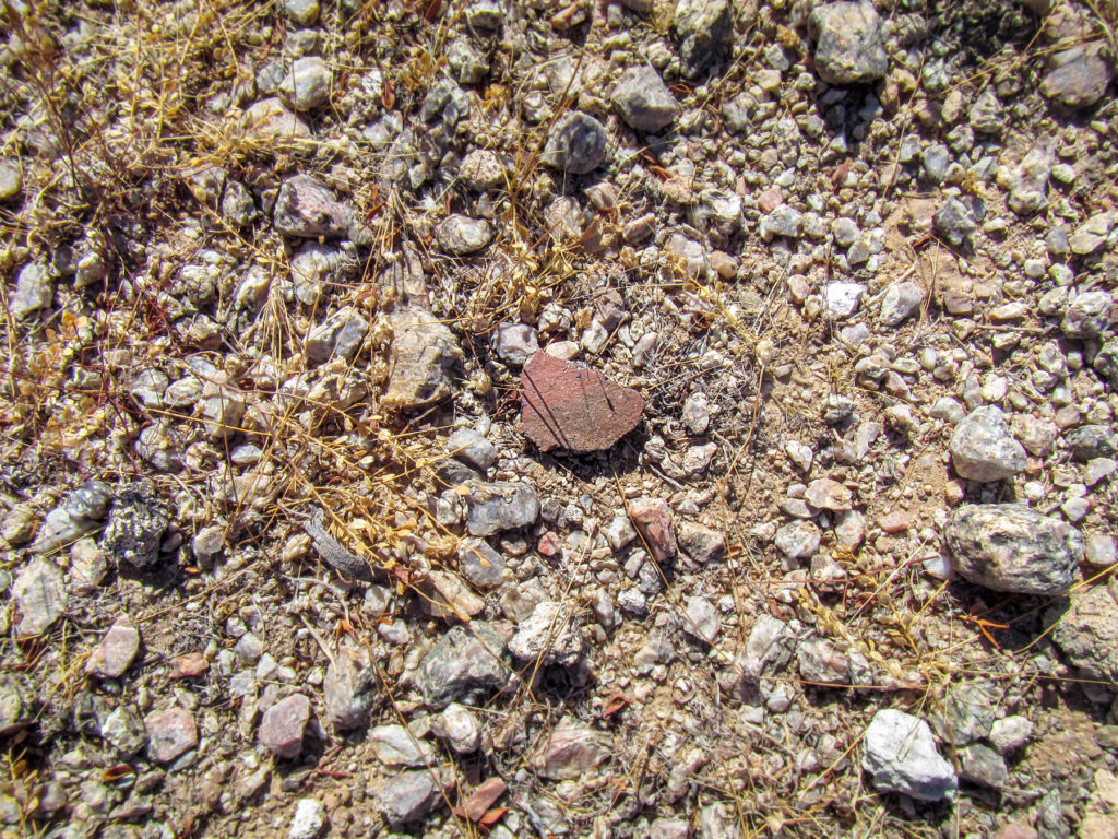 A single sherd