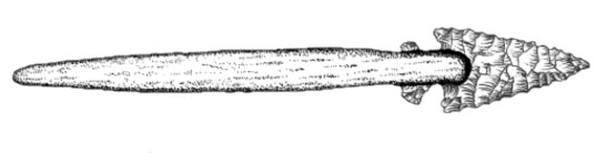 An illustration of a dart, which is made up of the projectile point (at right) and the foreshaft (at left).