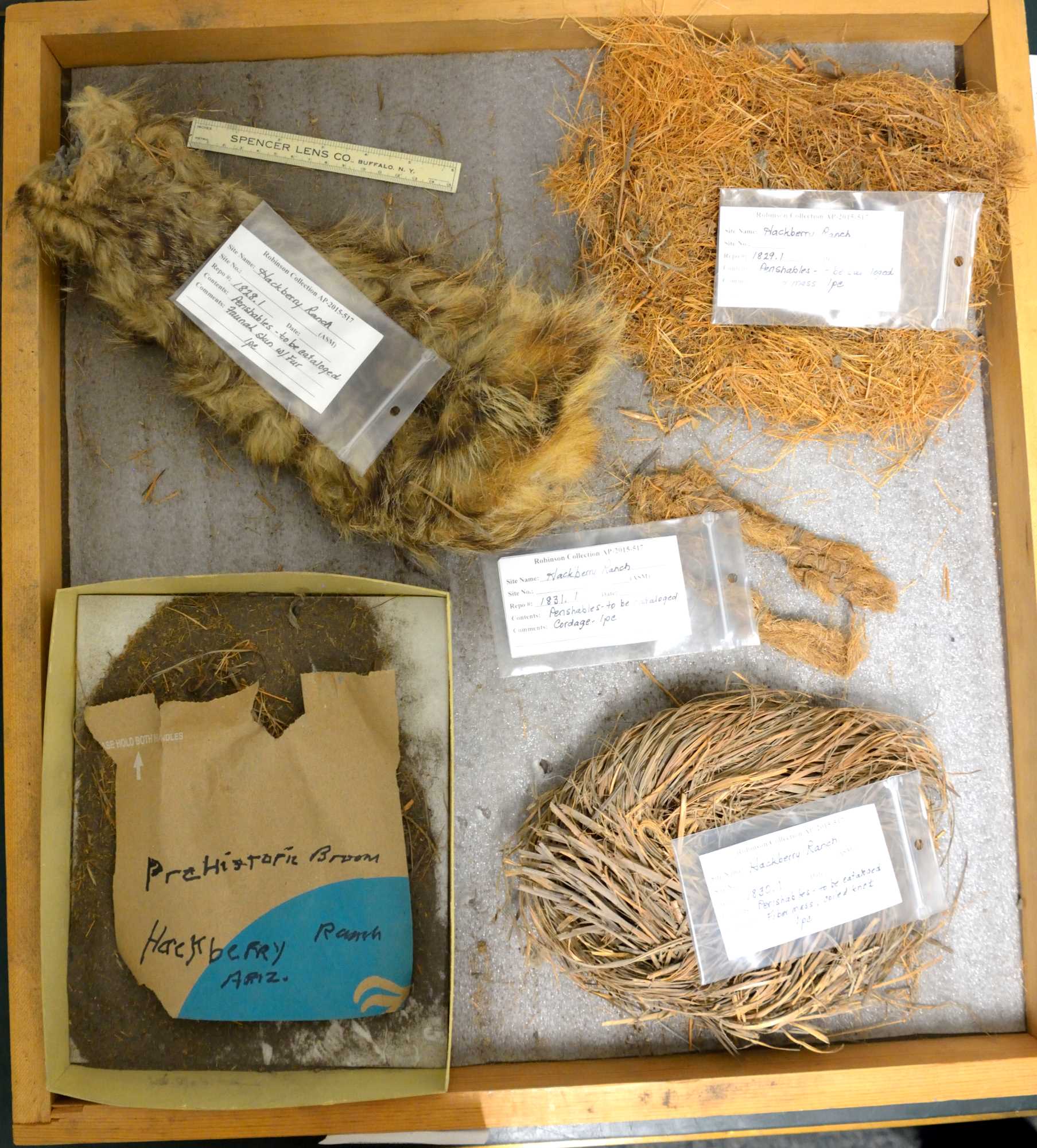 This image is a view from above a wooden museum tray that contains five different ancient objects made of perishable materials. Three items are made of plant materials. Two others are animal fur. The objects were recovered from a site near Safford, Arizona.