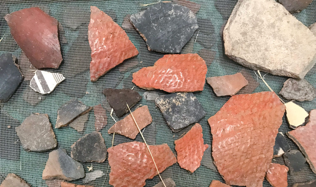A group of recovered ceramics from our excavated room. They are drying after being washed.