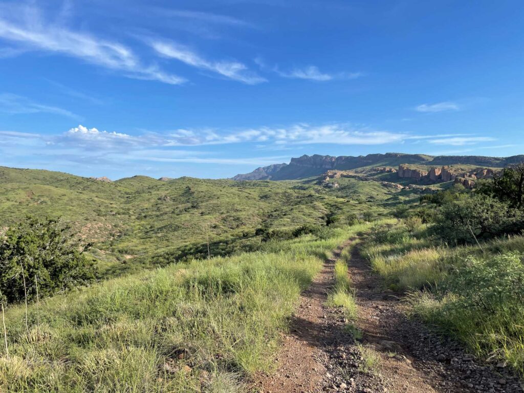 Looking north in the Muleshoe Ranch area of the San Pedro River Valley, with the Galiuro Mountains on the right.