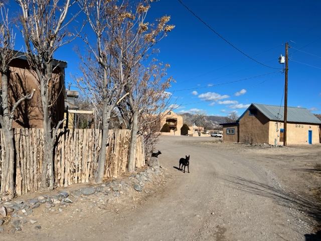 My dogs in the village of Abiquiu.