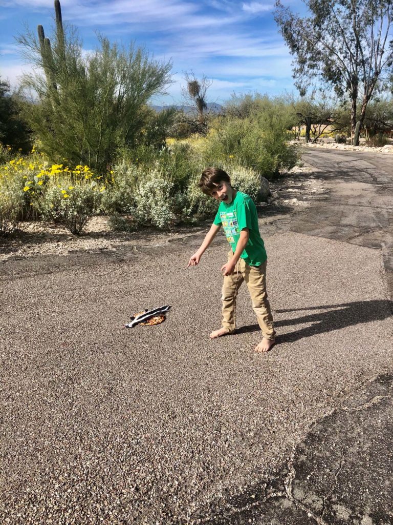 Son finding something in the road