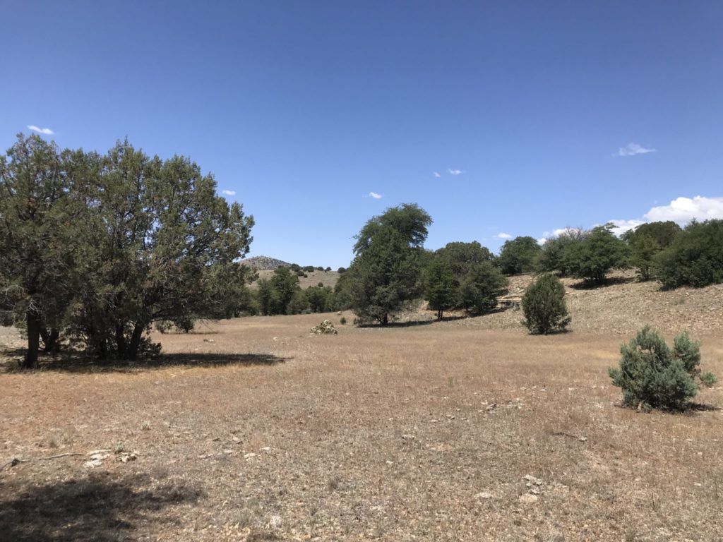 Gila River National Forest Land