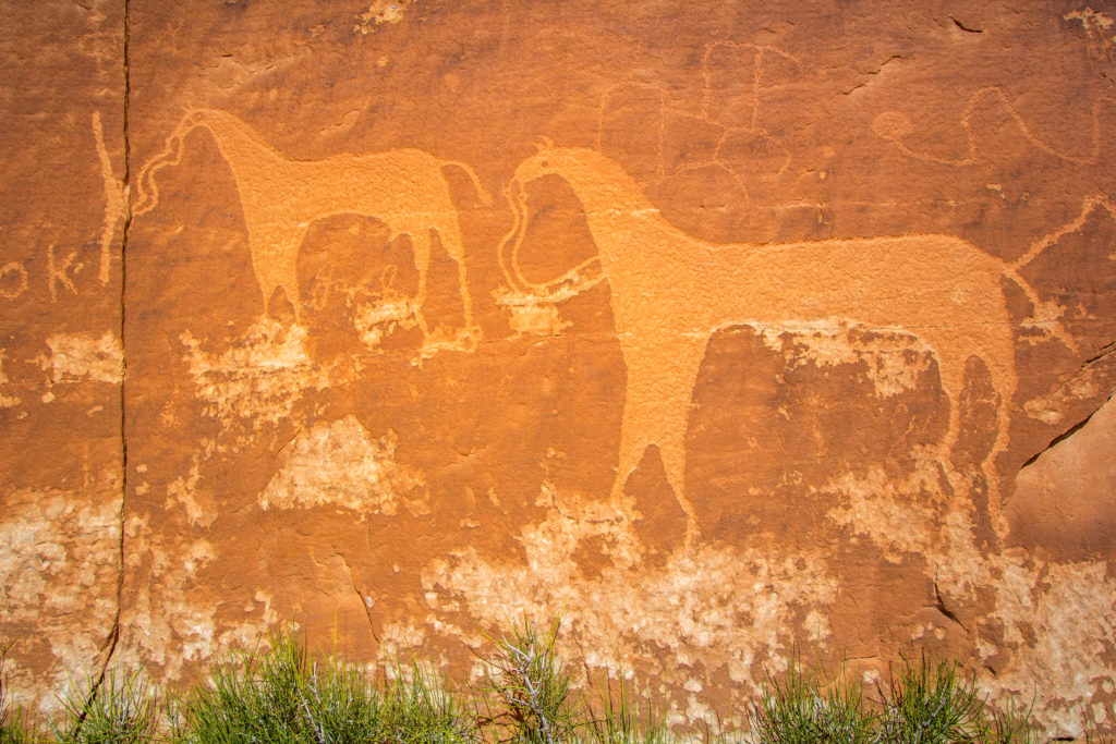These large Navajo horse petroglyphs are carved above older Basketmaker images. Much like the stratigraphy beneath our feet, rock art murals record layers of time and people. © Jonathan Bailey