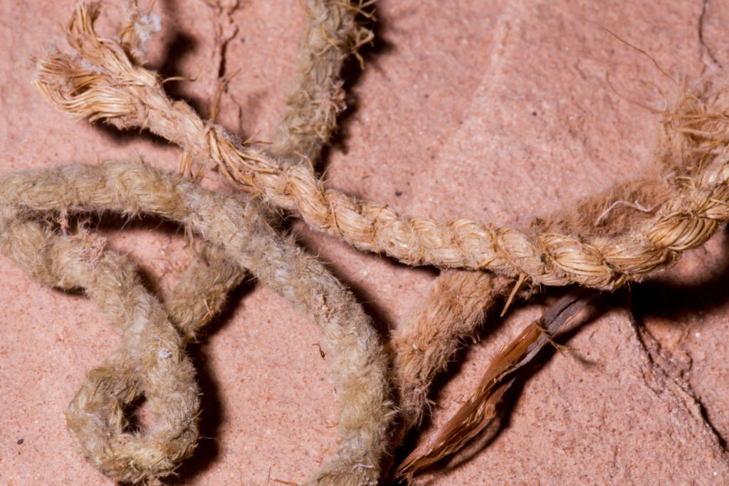 Strips of braided cordage as seen on an alcove floor. © Jonathan Bailey
