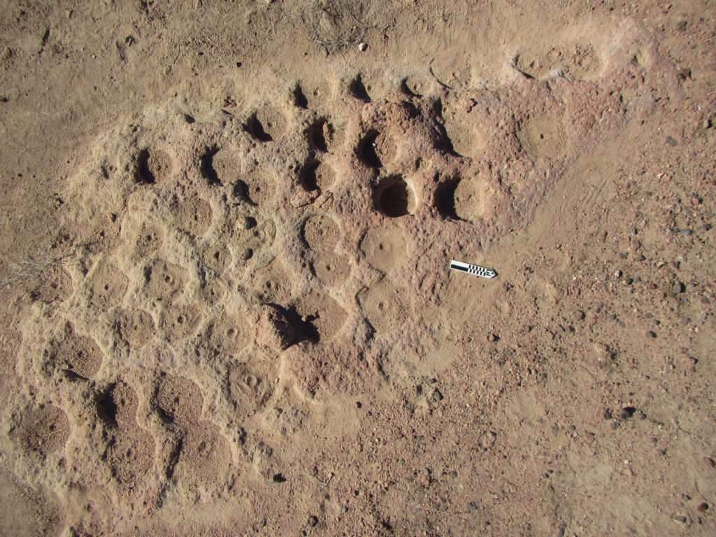 Outcrop with 49 mortar holes at the Bouse Well Site