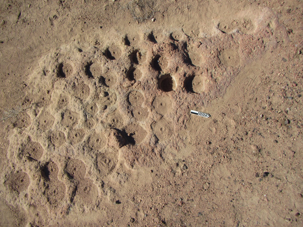 Mortar Holes at Bouse Well Site