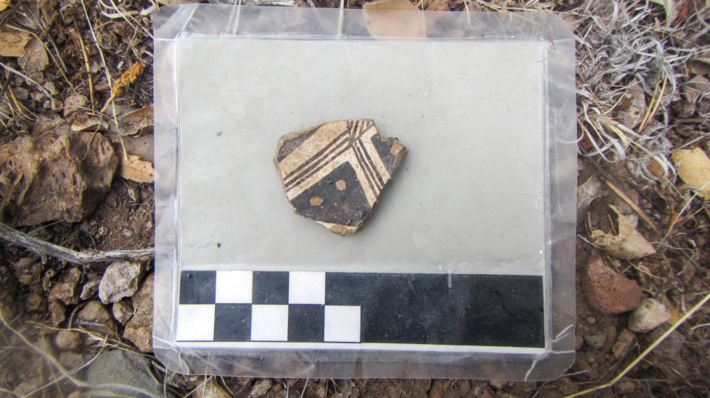 This piece of Mimbres pottery helped us date a site we located during survey.