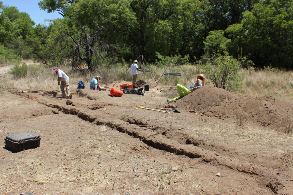 Supervising Field School Students