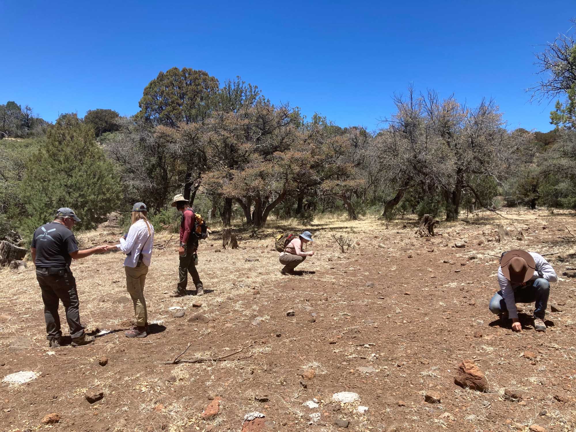 The Gila National Forest is ripe with artifacts of different materials; what seems like an uninhabited landscape today may in fact have been the center of a centuries-old site.