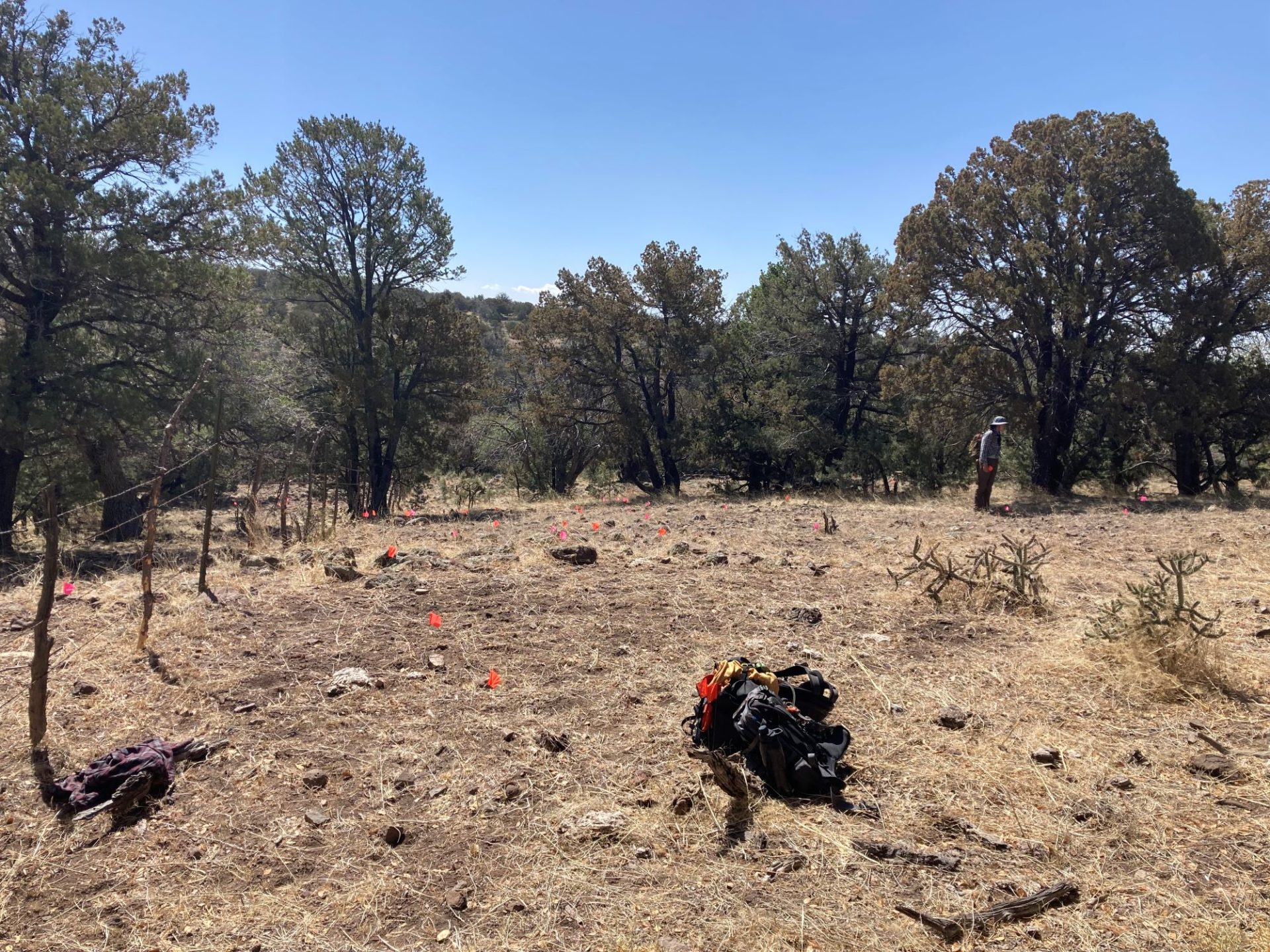 The site we found on Thursday had more than 100 unique artifacts, each of which we marked with a flag for future analysis.