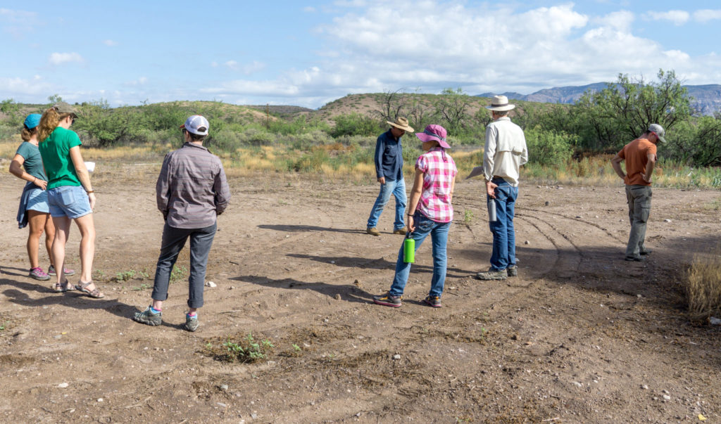 Examining the extent of the recent surface damage at a Salado site.