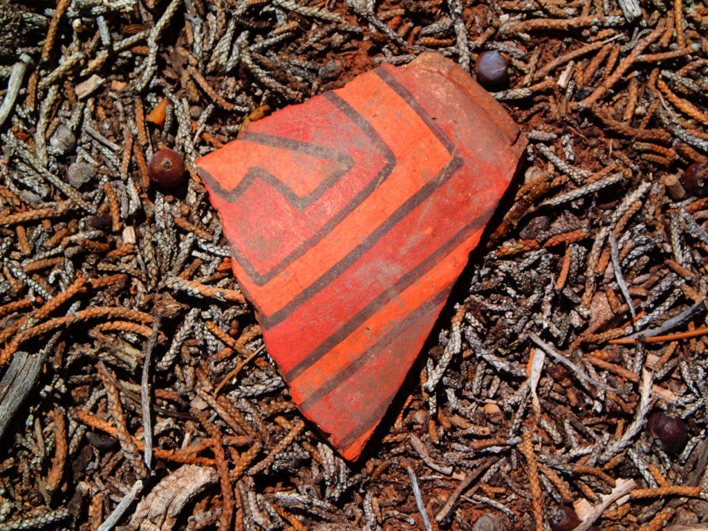 Tsegi Polychrome sherd