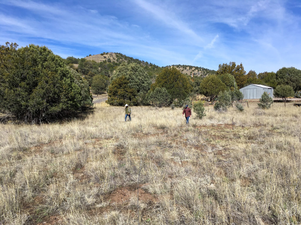 Site Assessment at Janss