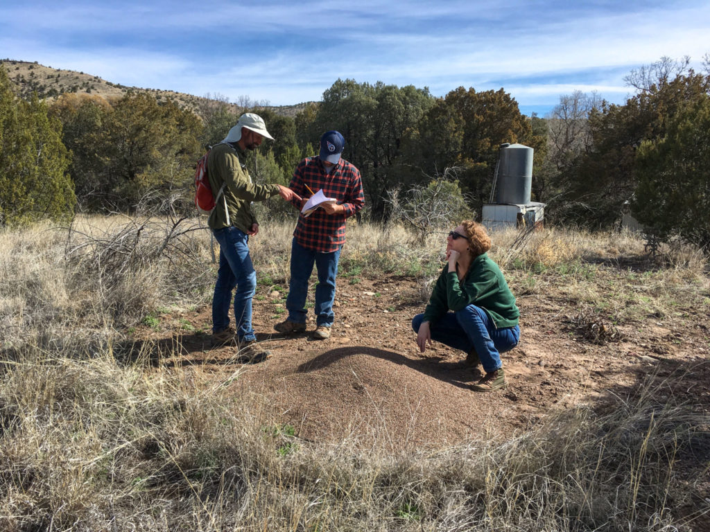 Chris and Steve finish up condition assessment paperwork while Leslie checks out artifacts exposed by an anthill at the Janss site.