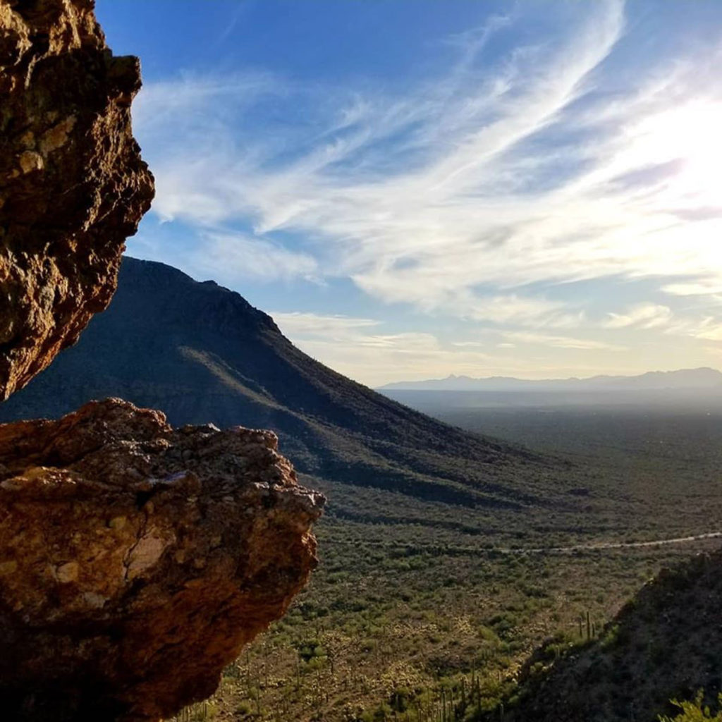 Sonoran Landscape