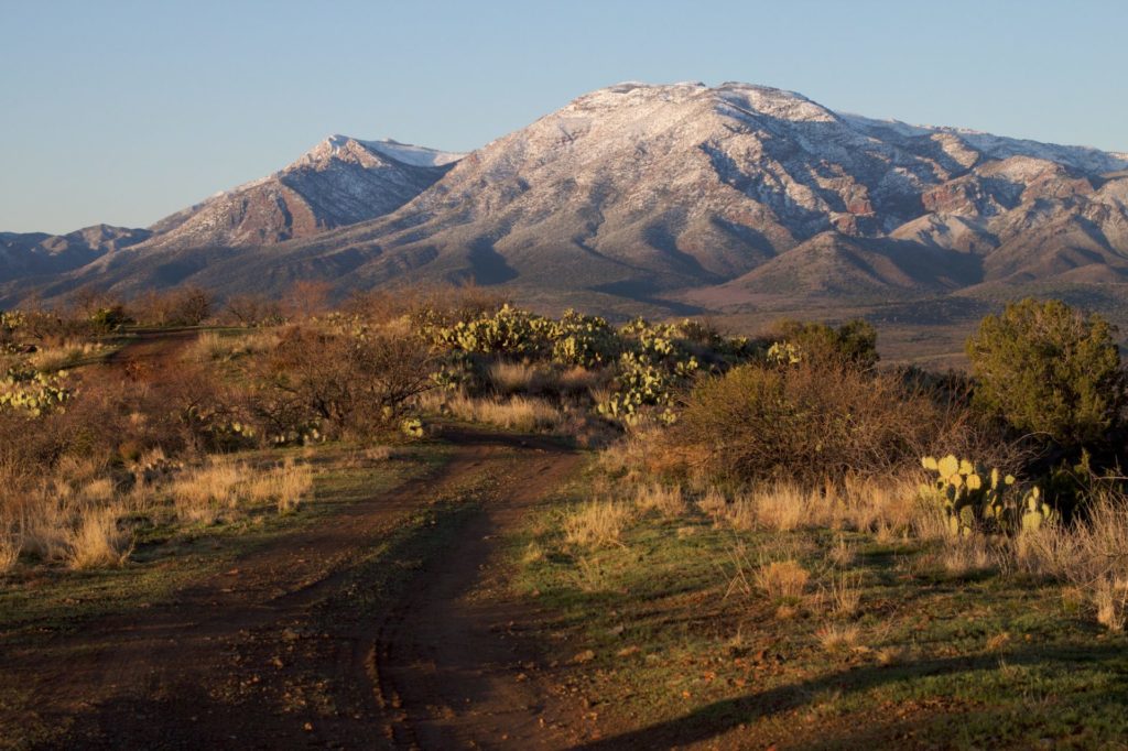 Mazatzal Mountains in Tonto National Forest. Image: Alan Levine, via Wikipedia