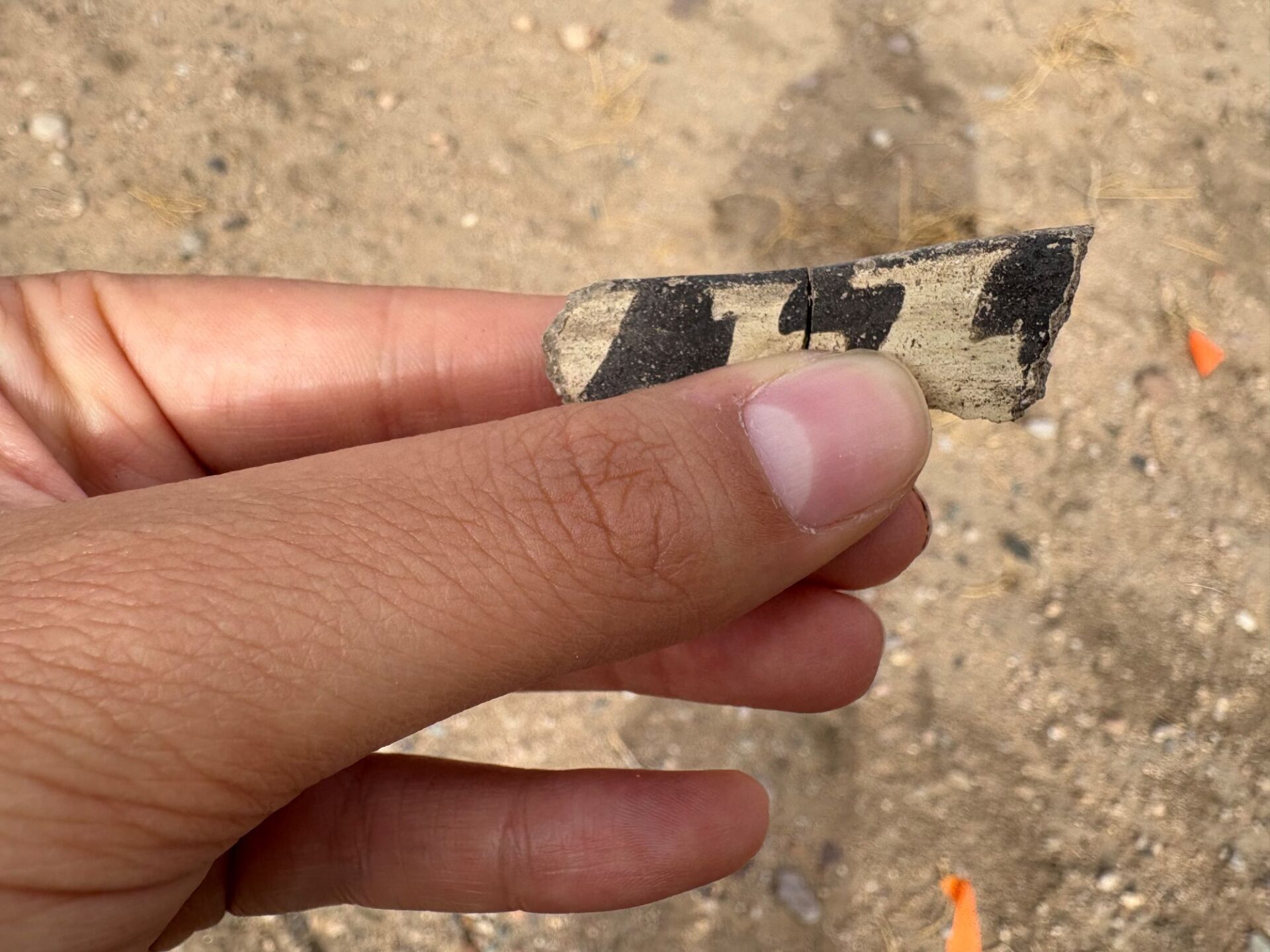 These two sherds of Mimbres Black-on-white style I fit together and were part of a rim.