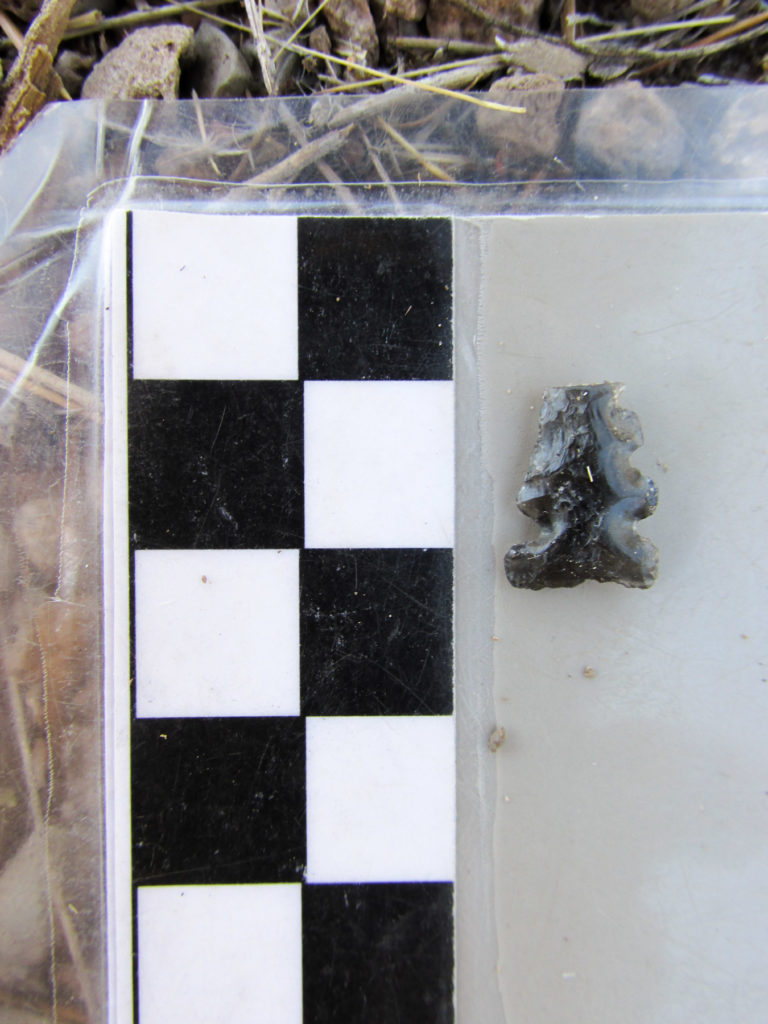 Mimbres tri-notched obsidian point.