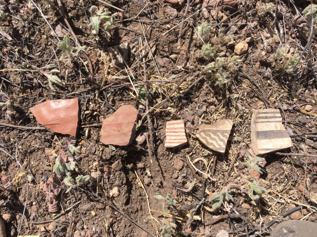 Pottery sherds from the surface of the Woodrow site show how the people living centuries ago here changed their Mogollon pottery styles over time by changing the way they smoothed the clay, applied the paint, and fired their pots. From left to right (and earliest to latest over the period from AD 550 – 1130), they are San Francisco Red, Mogollon Red-on-brown, Three Circle Red-on-White, Mimbres Black-on-white Style I (aka “Boldface,”), and Classic Mimbres Black-on-white.