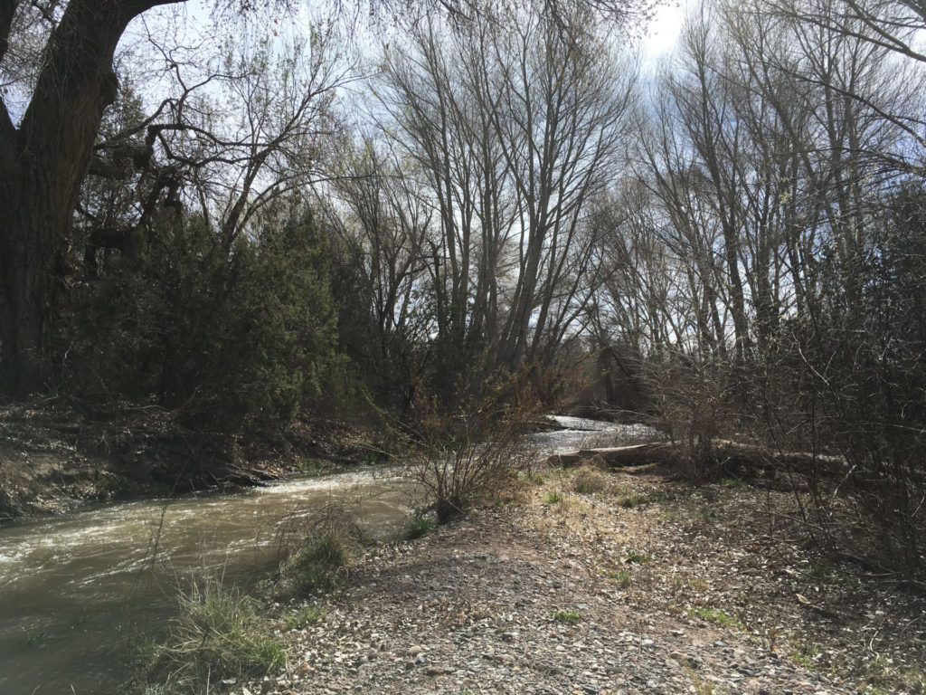The Mimbres River, like the Gila, has always been central to agriculture and wild plant and animal life in the Mogollon region.