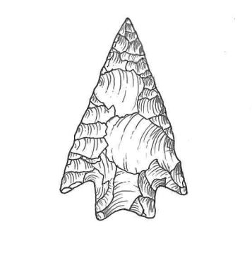 This illustration is a hypothetical reconstruction of a freshly made Placencia point. Note the large, broad percussion flakes that create a thin cross-section; the basal thinning flakes; and the long, pronounced barbs.