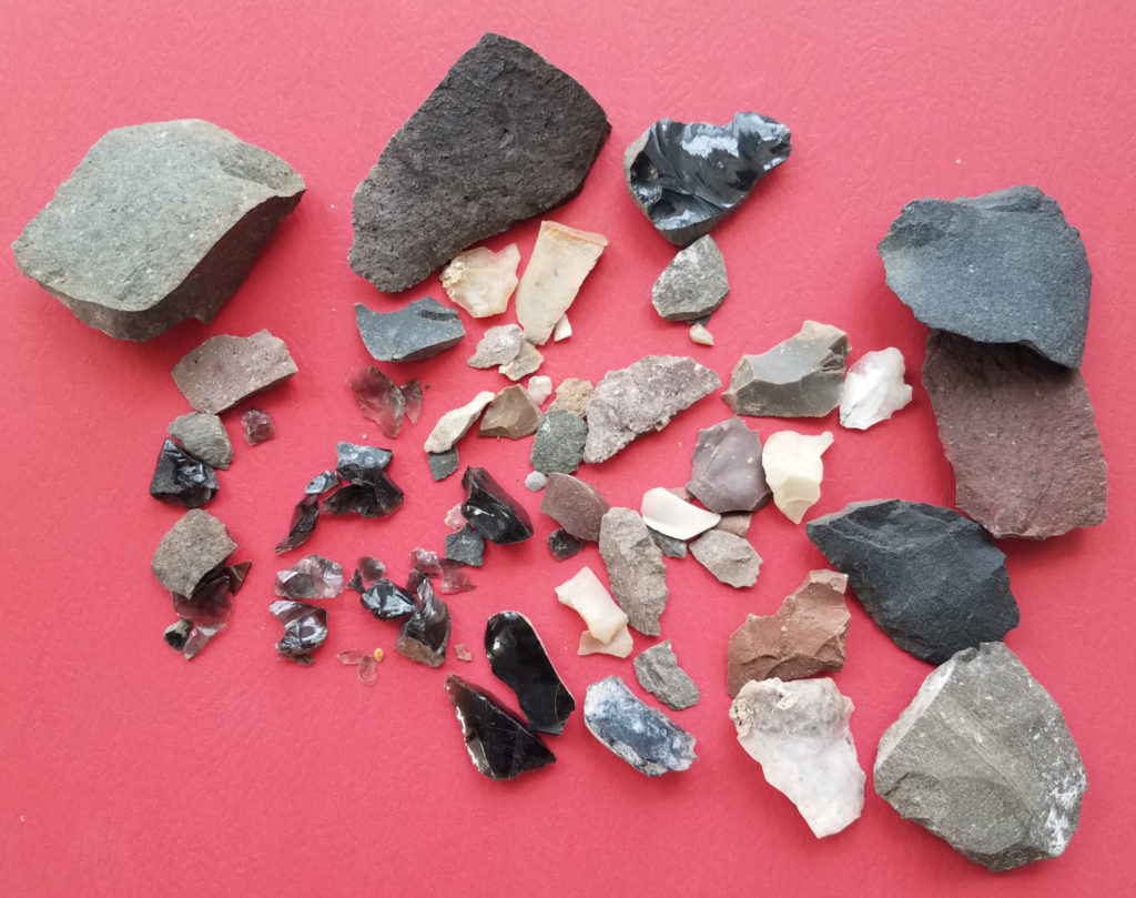 Example of flakes found in the fill of a room at Gila River Farm site. Some flakes were made to be used as tools and others are the by-product of formal tool production.