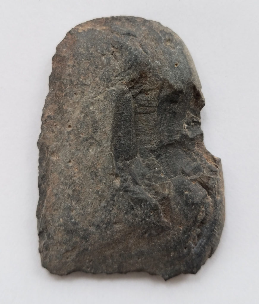 Flake tool (scraper) from Gila River Farm that could have been used in a variety of domestic tasks.