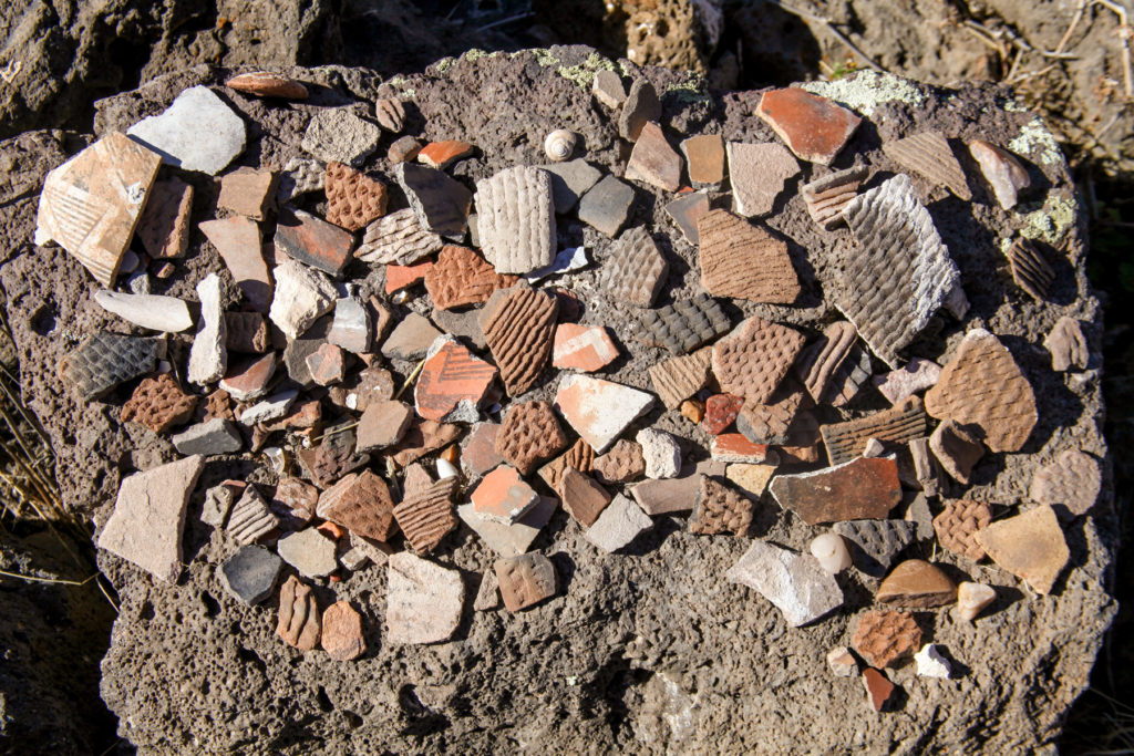 Collectors pile of sherds