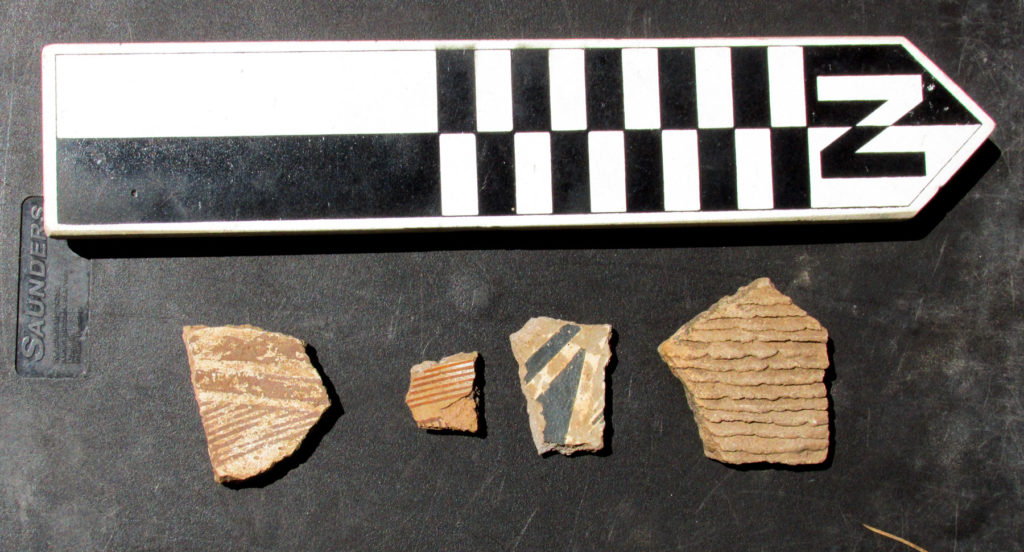 Sample of Mimbres sherds.