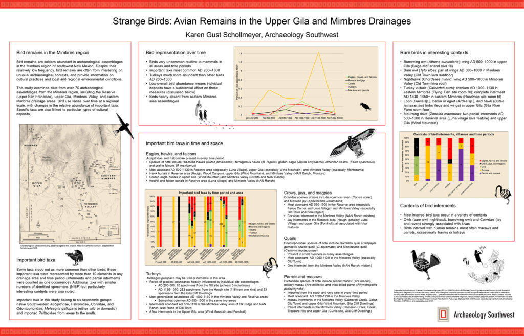 “Strange Birds: Avian Remains in the Upper Gila and Mimbres Drainages.” By Karen Gust Schollmeyer. <a href="https://www.archaeologysouthwest.org/pdf/Schollmeyer-Strange-Birds-SAA-2018.pdf">Download the pdf here.</a>