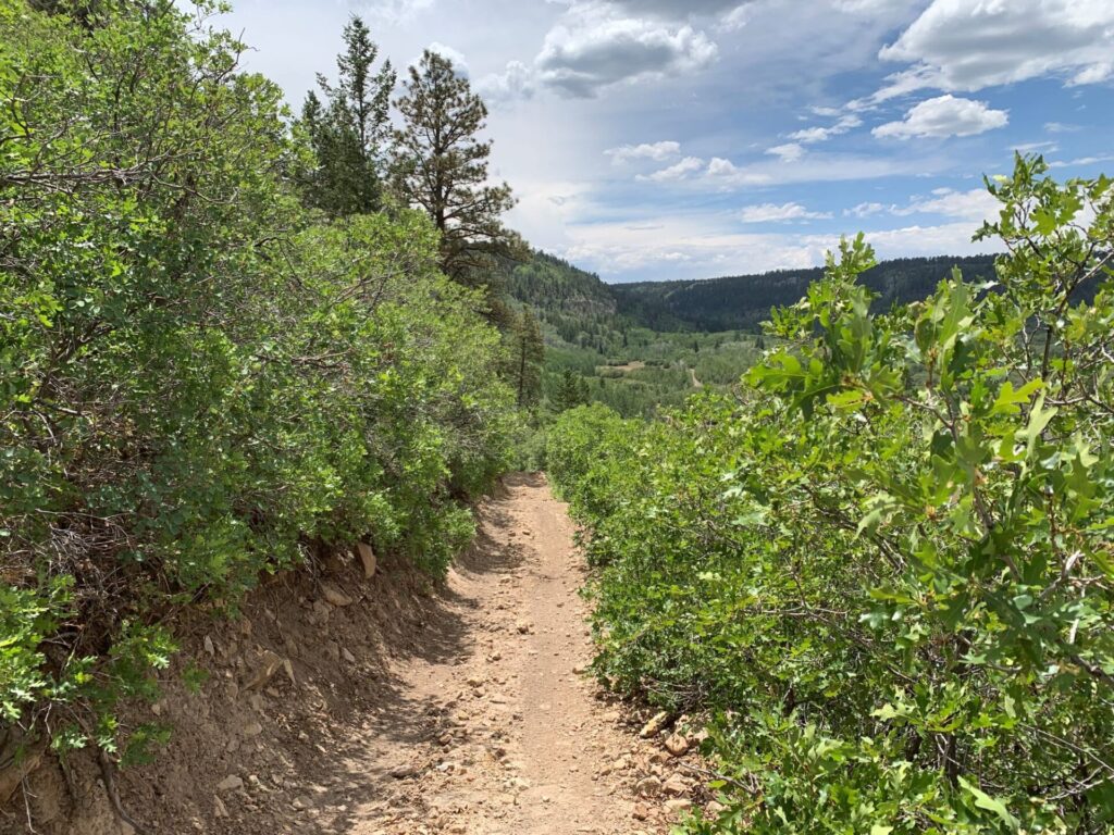 Before and after cyclical maintenance, mainly opening the corridor, on a OHV trail.