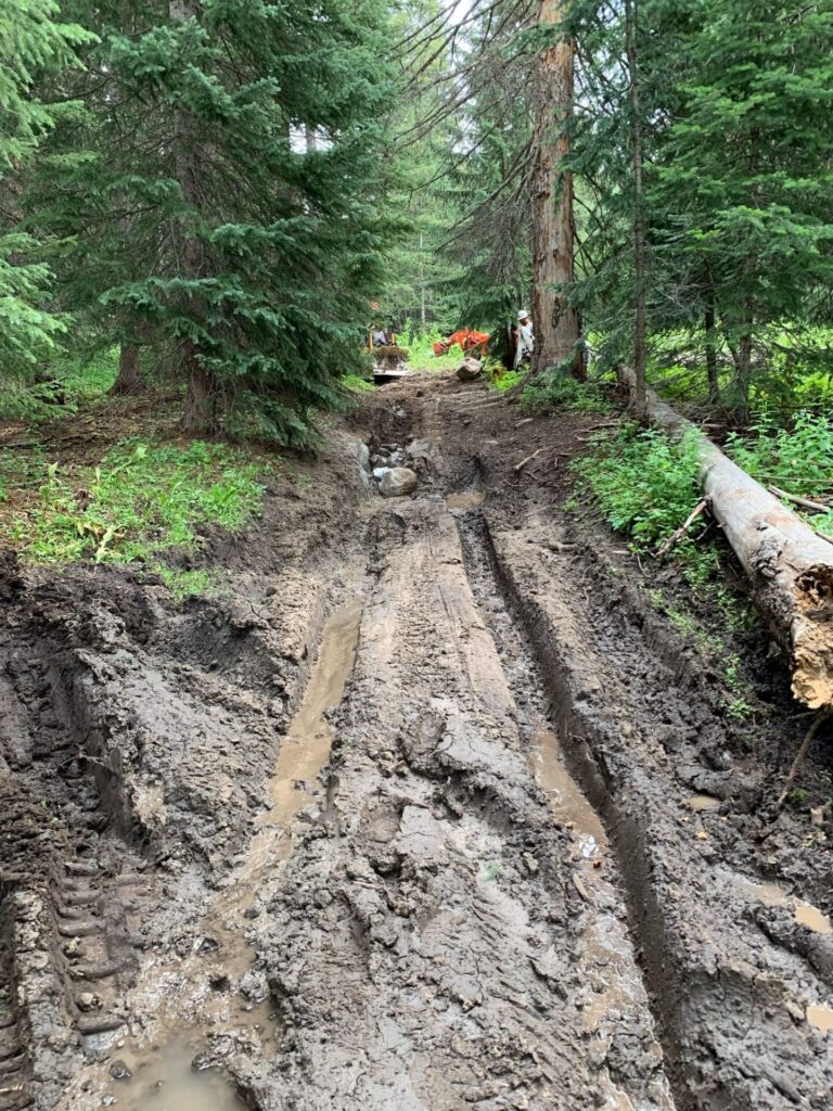 Before and after the USFS trail crew partnered with the Thunder Mountain Riding club to repair a large mud hole in the trail.