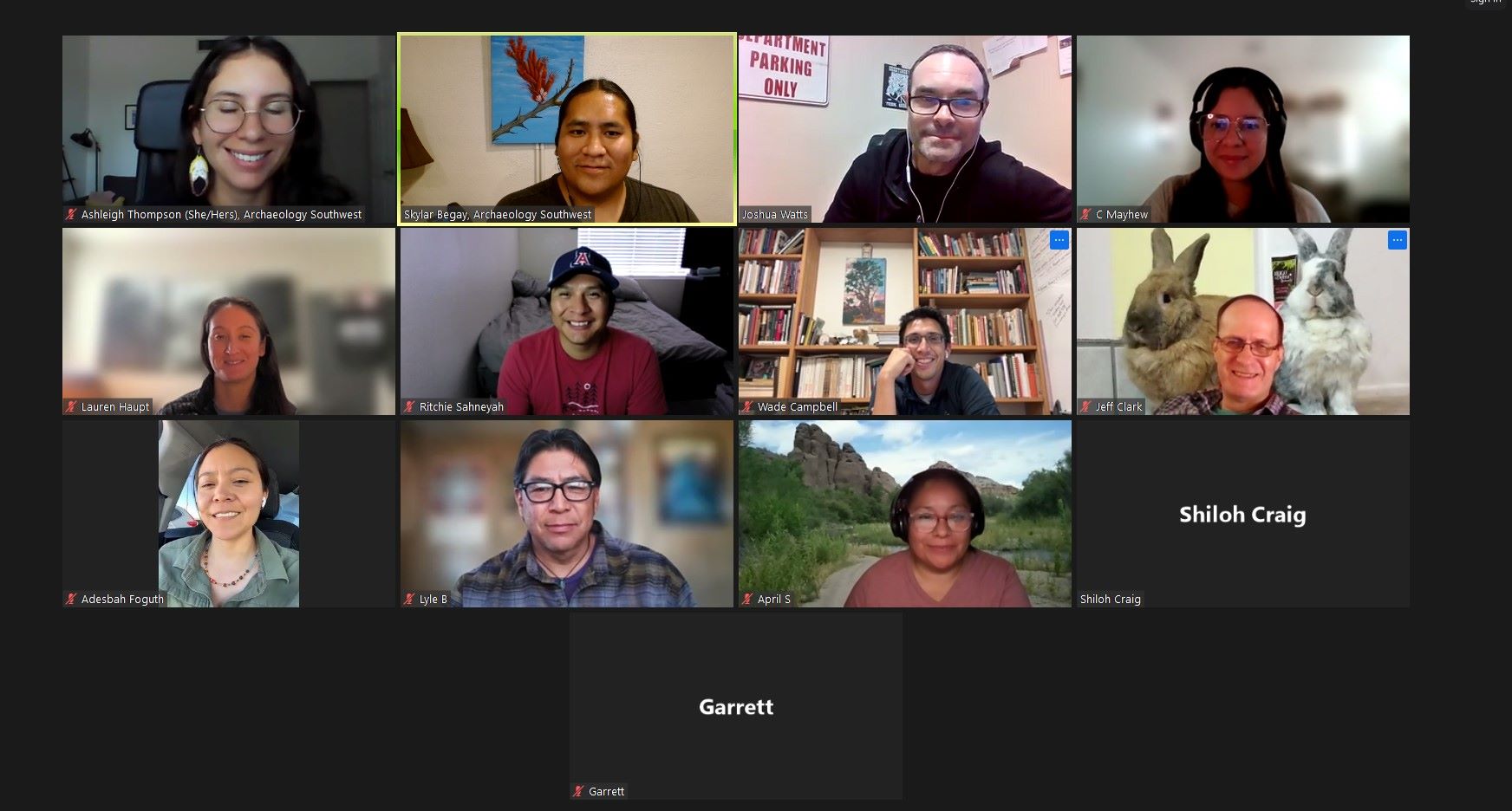 Screenshot of a meeting of the TWG in 2023.