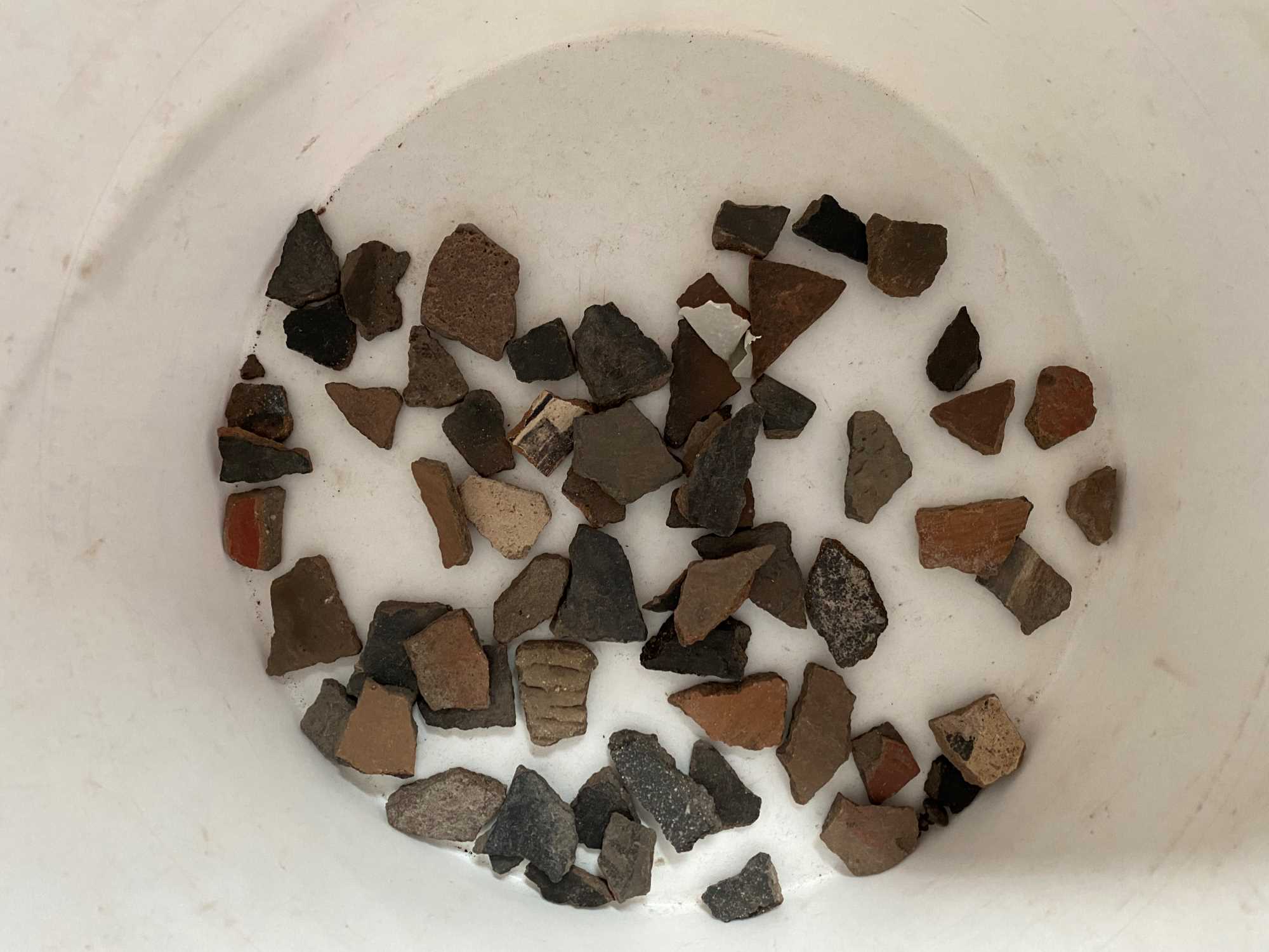 Sherds smaller than a quarter that we sorted out during a lab.