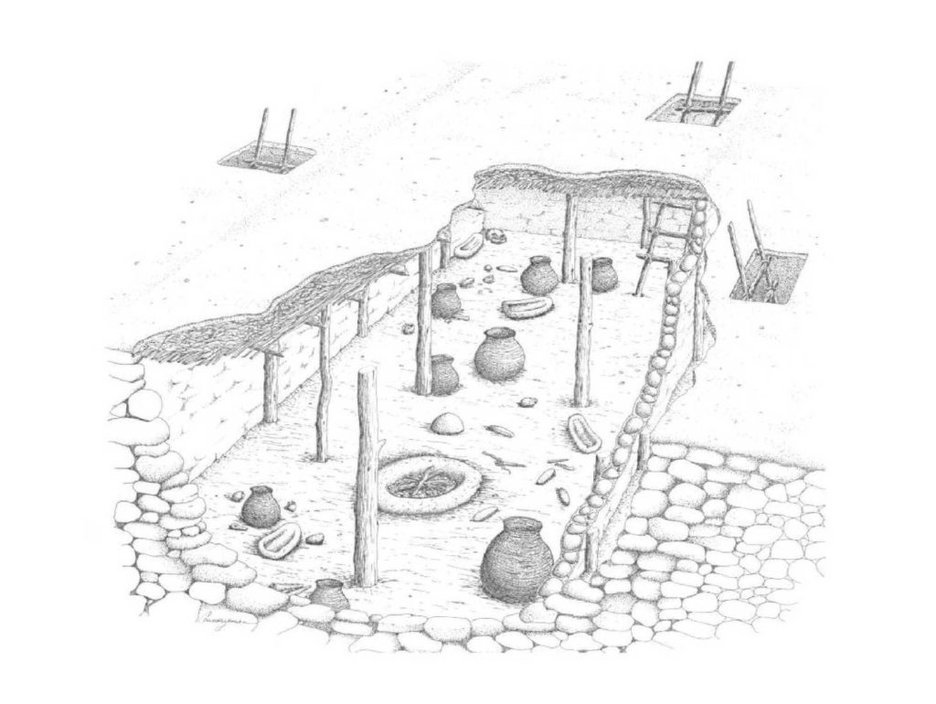 This artist’s reconstruction of a Classic Mimbres room shows a circular adobe-collared hearth near the center of the floor and the room’s entrance via a ladder at the far end. Other ladders are the entrances to neighboring rooms. Illustration: Linda Countryman