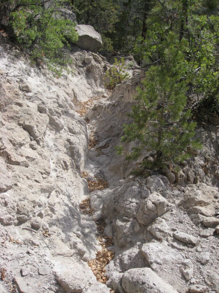 This image shows an ancient trail worn into surrounding white tuff. Pine trees surround the trail.