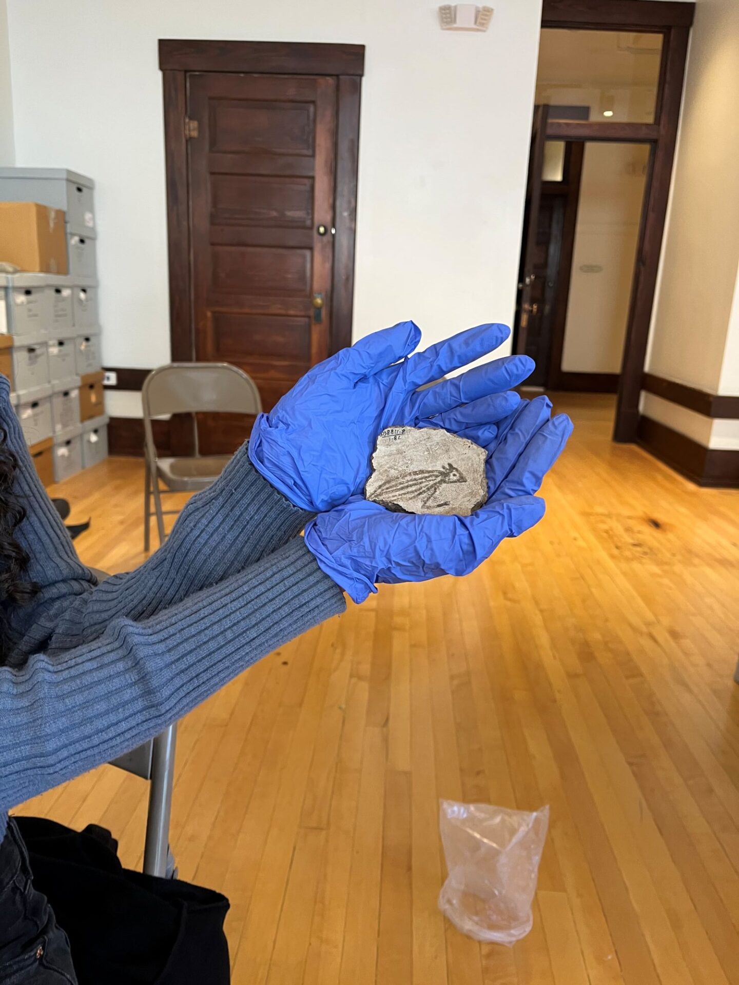 Mimbres pottery sherd from NAN Ranch site housed at WNMU museum and featuring a horned lizard motif.