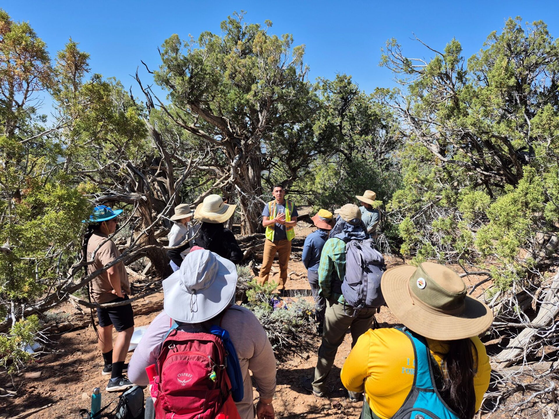 Wade Campbell talking with participants of the 2025 University of Arizona Laboratory of Tree-Ring Research dendroarchaeology summer workshop about Diné history in the Bears Ears region.