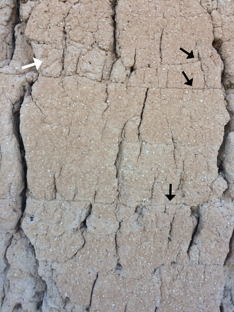 Casa Grande Wall Cross Section