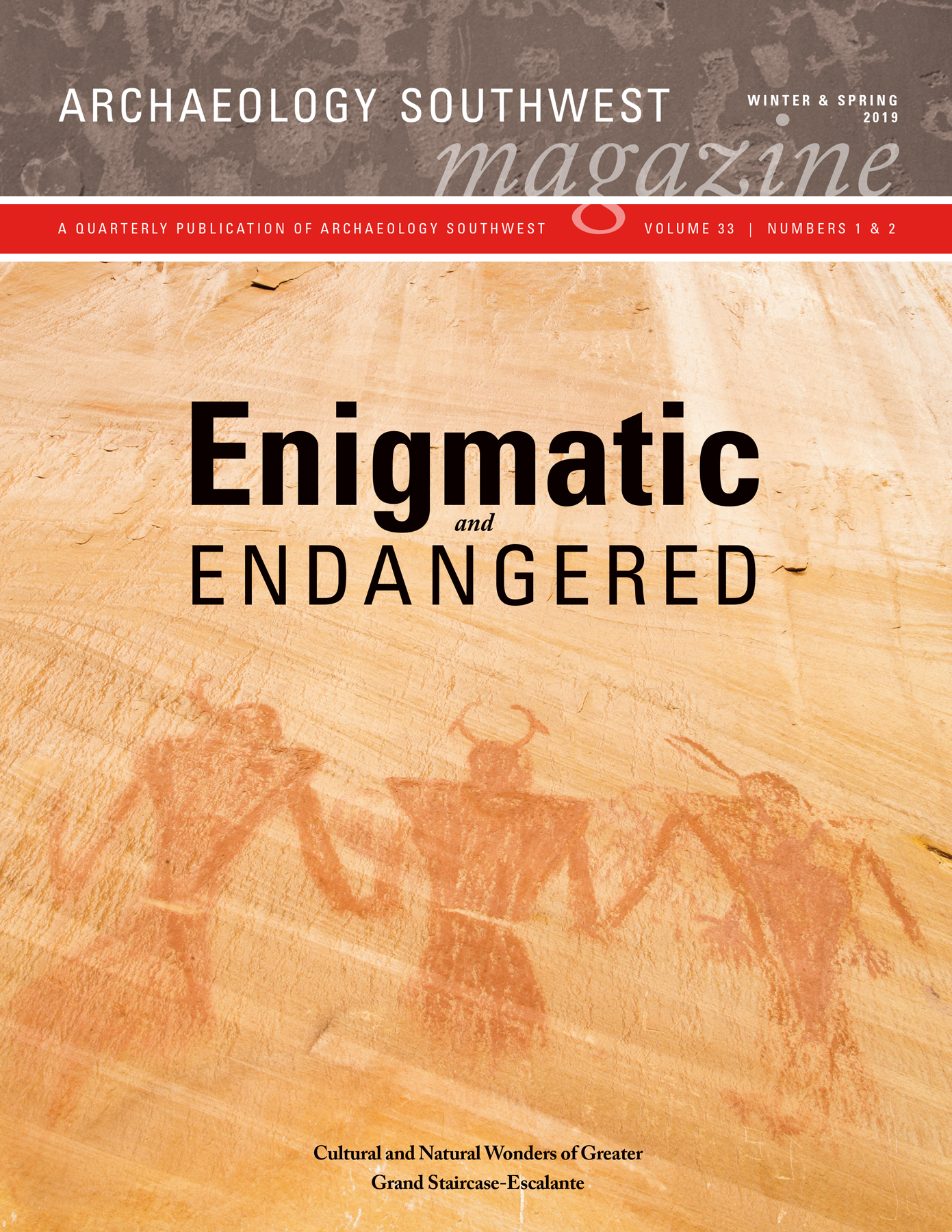 Enigmatic and Endangered Cover