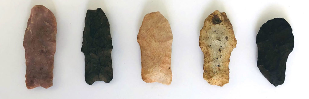 These are all Bajada points from the San Luis Valley in Colorado. I find them very interesting, as most of the ones I have seen are incredibly battered on their distal ends. They were completely used up. They are pretty thick in cross-section, too, which definitely would have helped them better sustain impacts. Hunters would have gotten multiple shots out of these.