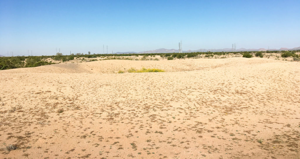 The ballcourt visible from the visitor’s trail at Casa Grande.