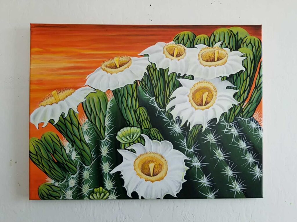 Cactus Bloom, (c) Angelo Cortez