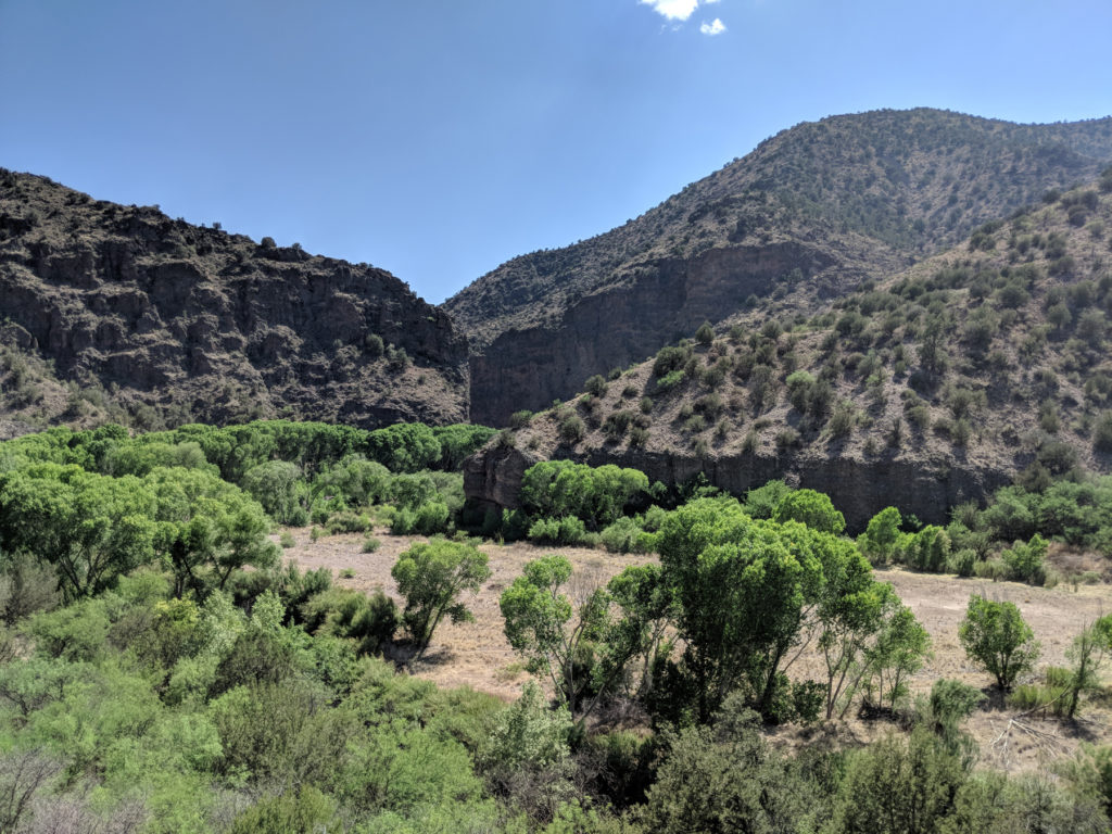 A view in the upper Gila River valley.